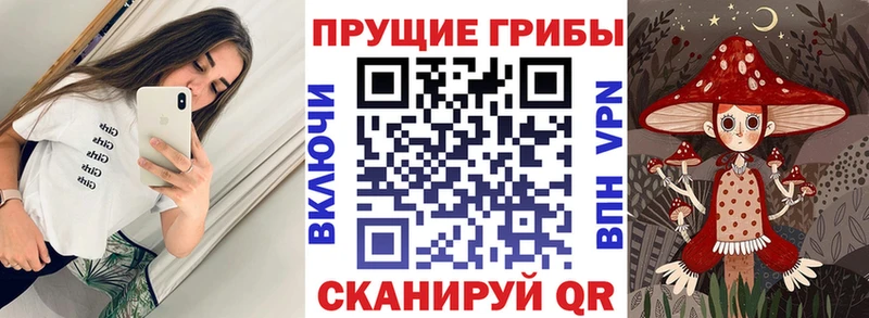 Галлюциногенные грибы ЛСД  Купить где  Славянск-на-Кубани 